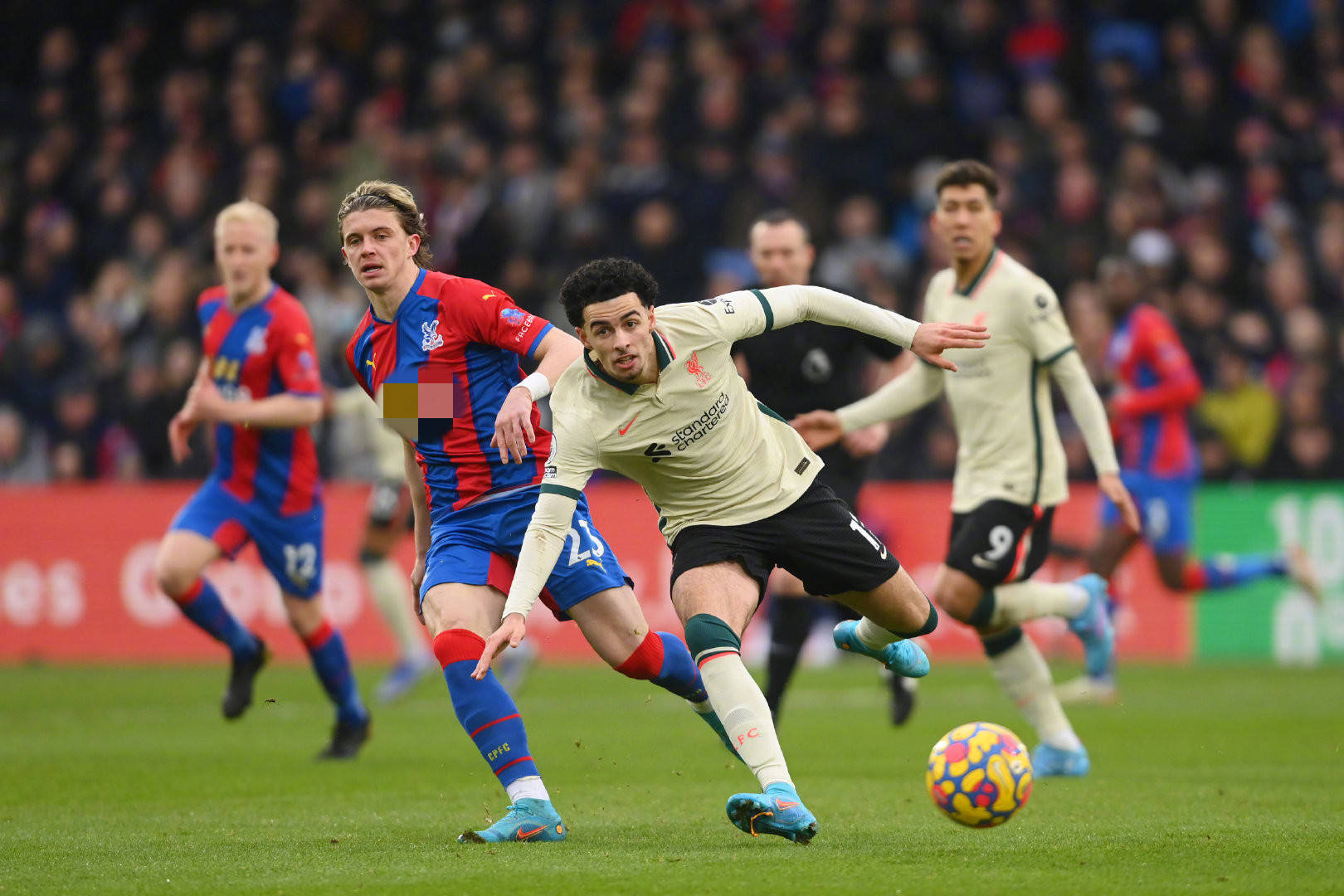 【直播】宁：Kanavi龙女怎么是主E副W，要主E副Q啊24亮53回复.